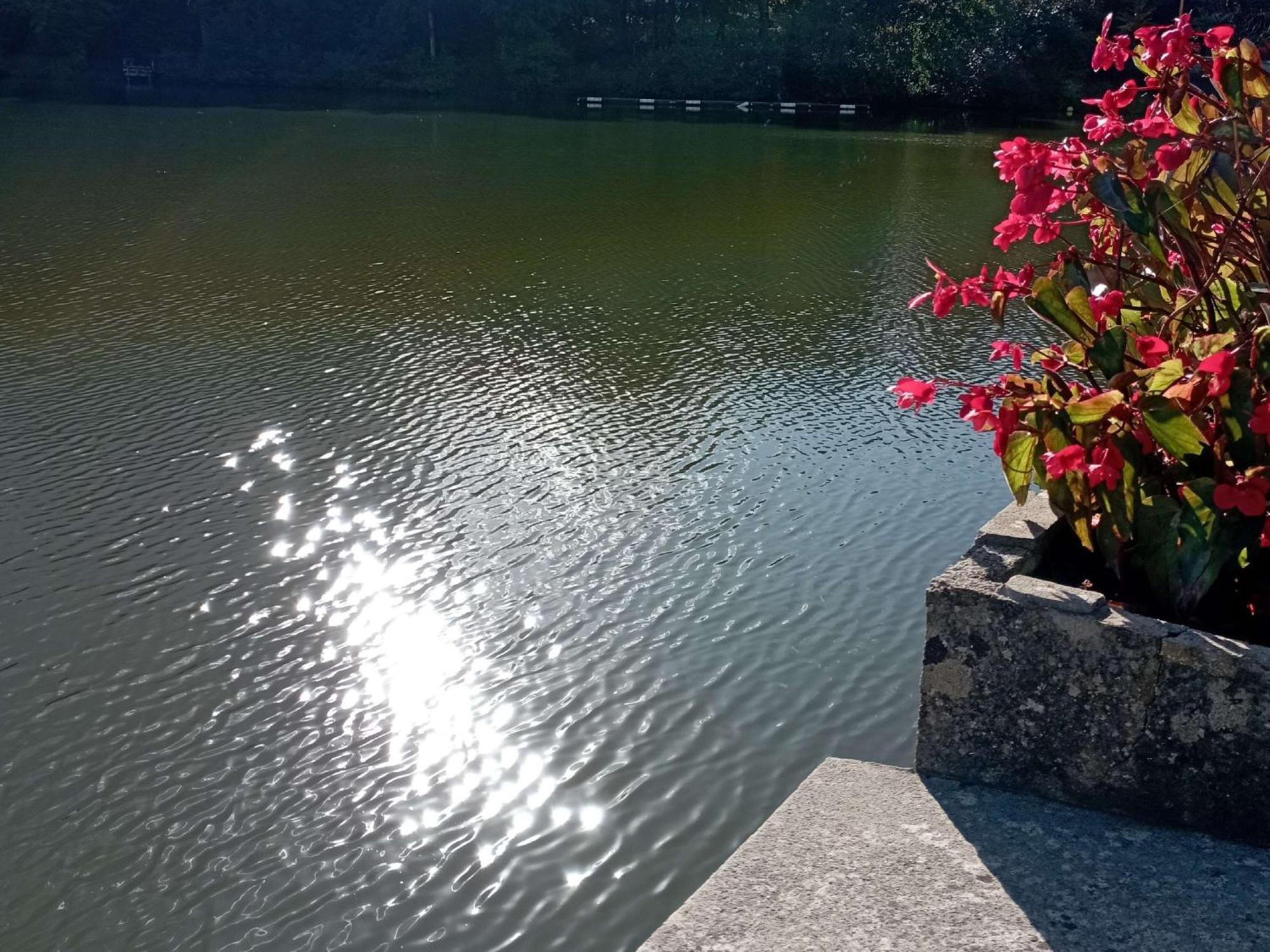 Ibis Les Etangs Des Moines Ξενοδοχείο Fourmies Εξωτερικό φωτογραφία